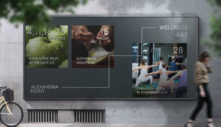 曲麻莱县画册设计公司如何进行品牌审核